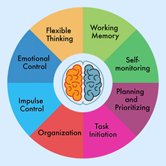 The diagram is a circle with a picture of a brain in the centre.  The circle is divided into 8 different coloured segments which represent behaviours that we need executive function for. These are: Working memory, self-monitoring, planning and prioritising, task initiation, organisation, impulse control, emotional control, flexible thinking.